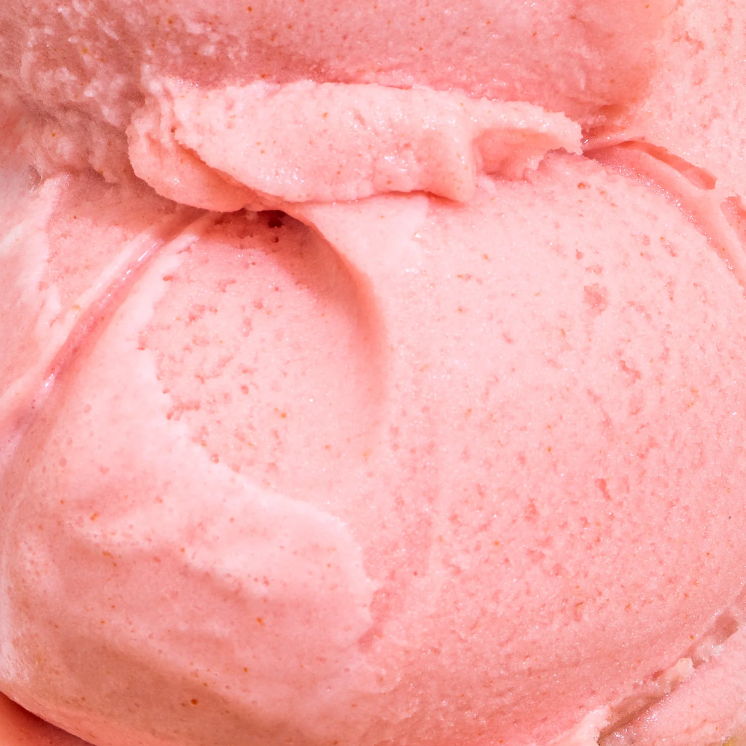 Frosé Sorbet - Image 2